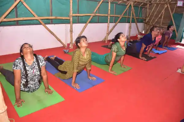 Group yoga class practising cobra pose