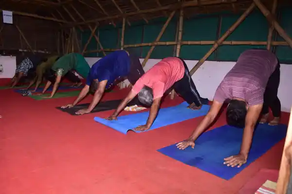 Students practising downward dog